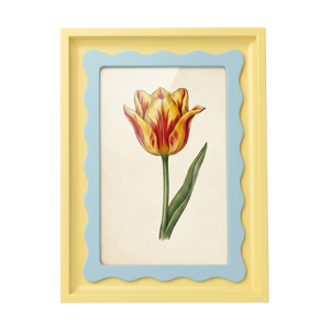 The Riviera Tulip - Photo paper size 4x6in Framzoo