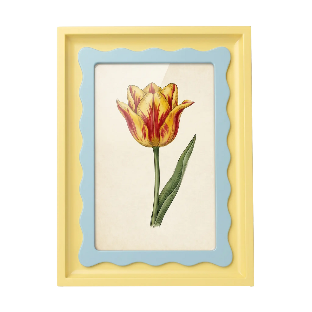 The Riviera Tulip - Photo paper size 4x6in Framzoo