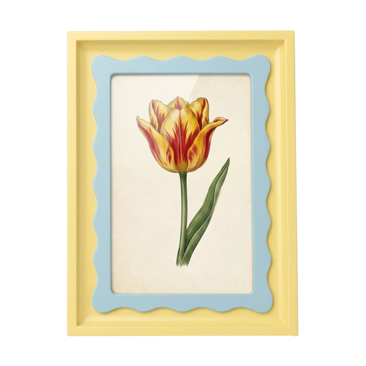 The Riviera Tulip - Photo paper size 4x6in Framzoo