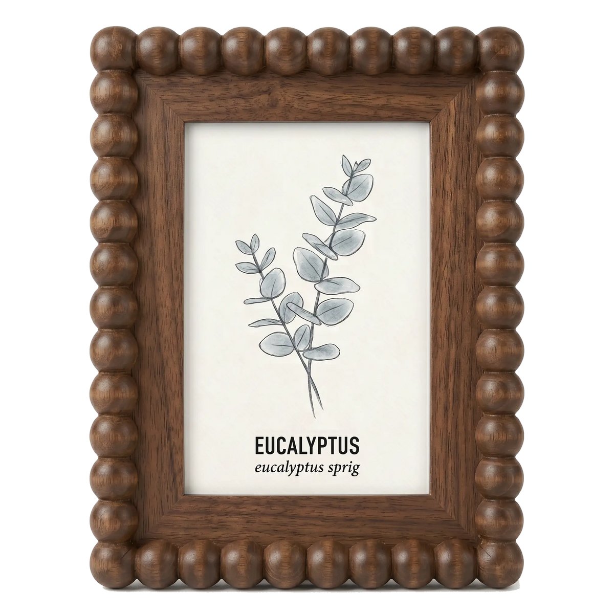 The Walnut Bobbin Eucalyptus - Photo paper size 4x6in Framzoo