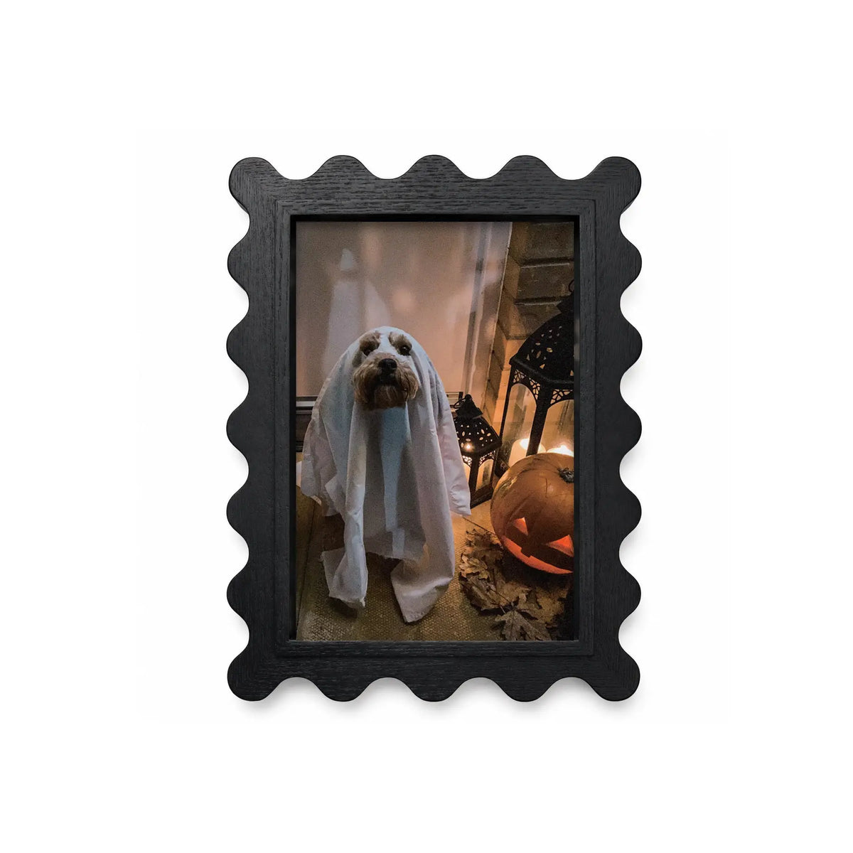 Halloween Picture Frame Set of 5 (4X4/4X6/5X7/7X9) , Vintage Spooky Gallery Wall Frames, Black Halloween Photo Frames Framzoo